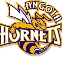Angola Hockey JV logo